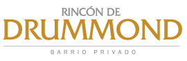 logo adviserit